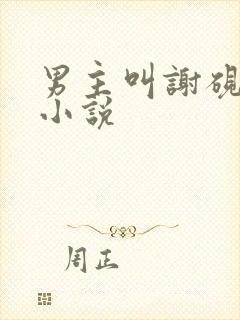 男主叫谢砚辞的小说