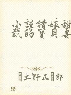 小说错嫁甜婚总裁的宝贝妻