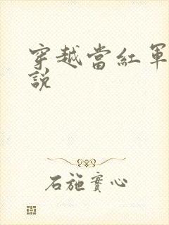 穿越当红军的小说