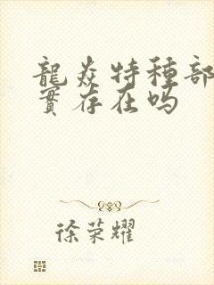 龙焱特种部队真实存在吗