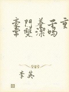 豪门养子重生日常双洁吗