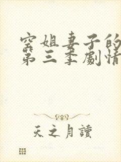 空姐妻子的秘密第三季剧情介绍