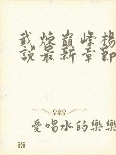 武炼巅峰杨开小说最新章节列表