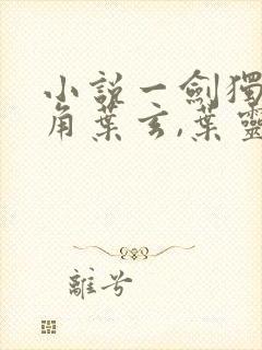 小说一剑独尊主角叶玄,叶灵封面