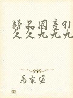 精品国产91久久久九九九封面