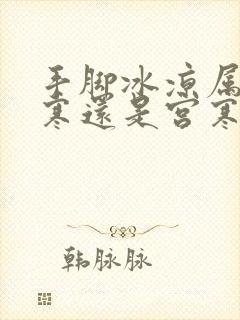 手脚冰凉属于体寒还是宫寒