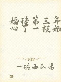 婚后第三年她变心了一枝嫩柳