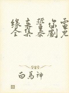 缘来誓你电视剧全集泰剧免费观看封面