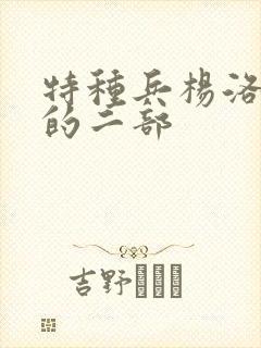 特种兵杨洛续集的二部