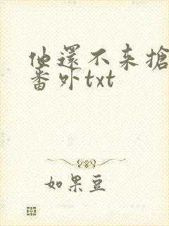 他还不来抢走我番外txt封面