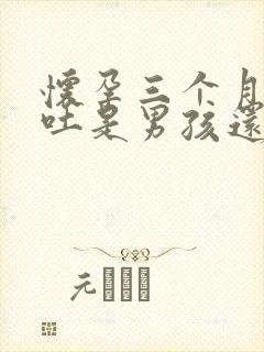 怀孕三个月开始吐是男孩还是女孩