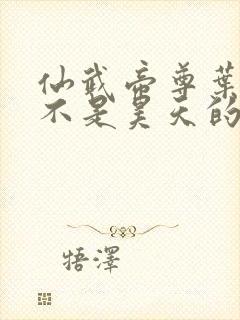 仙武帝尊叶辰是不是昊天的儿子