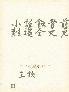 小说蚀骨前妻太难追全文免费阅读