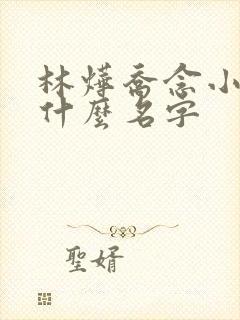 林烨乔念小说叫什么名字