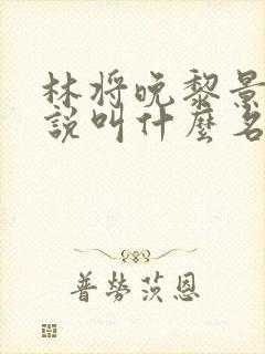 林将晚黎景珩小说叫什么名字