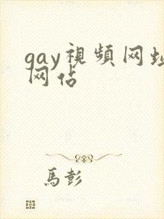 gay视频网址网站