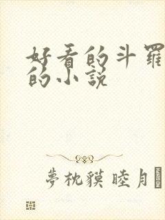 好看的斗罗同人的小说