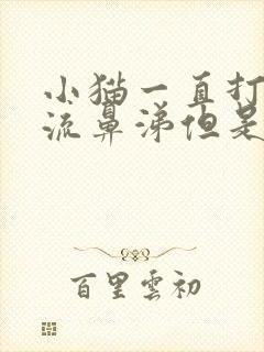 小猫一直打喷嚏流鼻涕但是精神很好