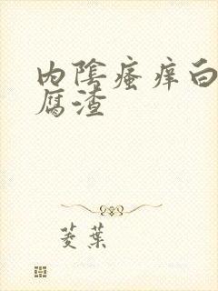 内阴瘙痒白带豆腐渣