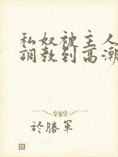 私奴被主人玩弄调教到高潮视频