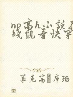 np高h小说在线观看快穿