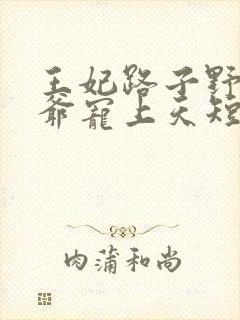 王妃路子野,王爷宠上天短剧