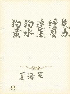 狗狗连续几天吐黄水怎么办