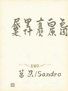 尿里有白色液体是什么原因