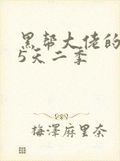 黑帮大佬的365天二季