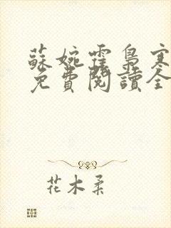 苏婉霍枭寒小说免费阅读全文最新章节