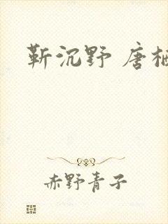靳沉野 唐栖雾