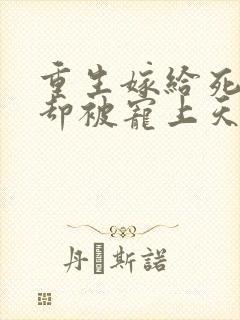 重生嫁给死对头却被宠上天短剧免费