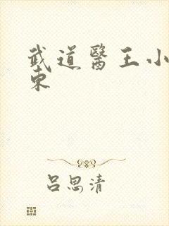 武道医王小妖吴东封面