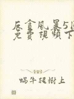 反贪风暴5国语免费视频下载