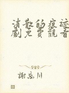 消散的痕迹电视剧免费观看