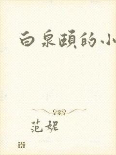 白泉颐的小说