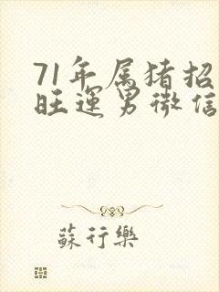 71年属猪招财旺运男微信昵称