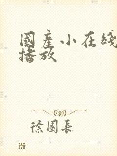 国产小在线av播放