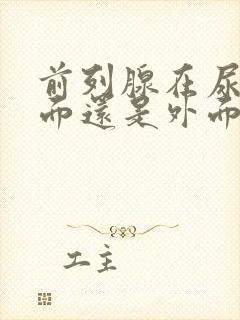 前列腺在尿道里面还是外面