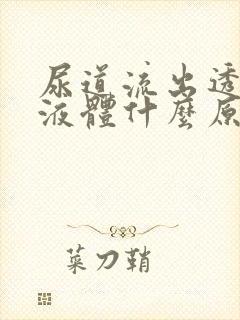 尿道流出透明的液体什么原因