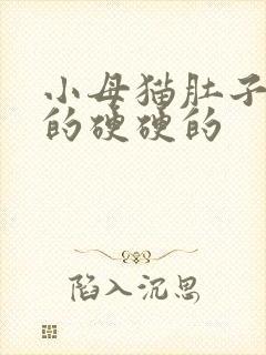 小母猫肚子鼓鼓的硬硬的