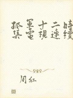 孤军十二时24集电视连续剧封面