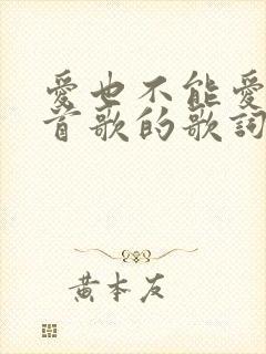 爱也不能爱是哪首歌的歌词
