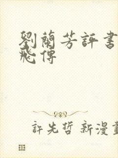 刘兰芳评书 岳飞传