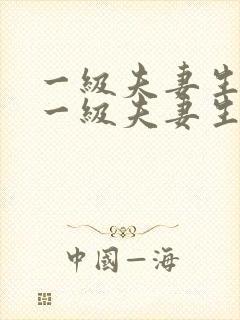 一级夫妻生活片一级夫妻生活又大又爽