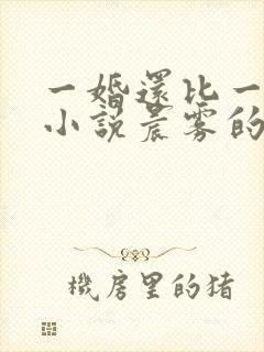 一婚还比一婚高小说晨雾的光完整版全文阅读