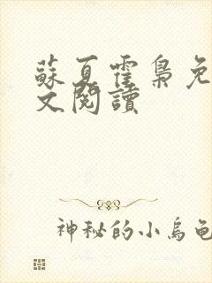 苏夏霍枭免费全文阅读封面