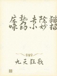 床垫去除猫尿骚味的小妙招