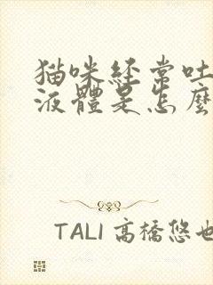 猫咪经常吐黄色液体是怎么回事