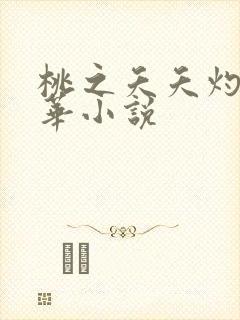 桃之夭夭灼灼其华小说